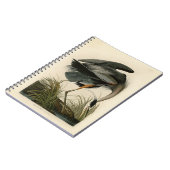 Carnet Grand Héron bleu d'Audubon Marais Oiseau (Côté gauche)