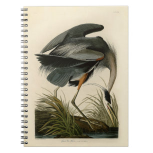 Carnet Grand Héron bleu d'Audubon Marais Oiseau
