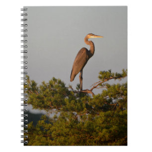 Carnet Grand Héron Bleu sur le sommet de l'arbre