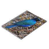 Carnet Grand oiseau de Starling de race bleue (Côté gauche)