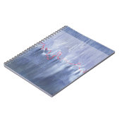 Carnet Grand ours et Pleaides (Côté gauche)