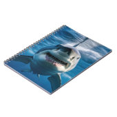 Carnet Grand requin blanc (Côté gauche)