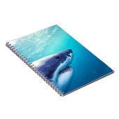 Carnet Grand requin blanc | Afrique du Sud (Côté Droit)
