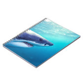 Carnet Grand requin blanc | Afrique du Sud (Côté gauche)