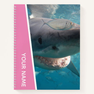 Carnet Grand requin blanc Australie Dents souriants, fill