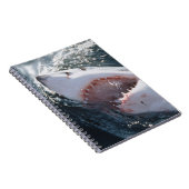 Carnet Grand requin blanc en mer (Côté Droit)