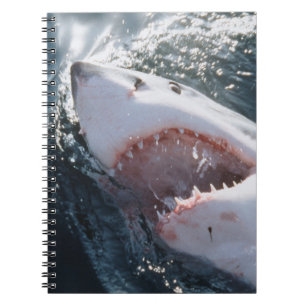 Carnet Grand requin blanc en mer
