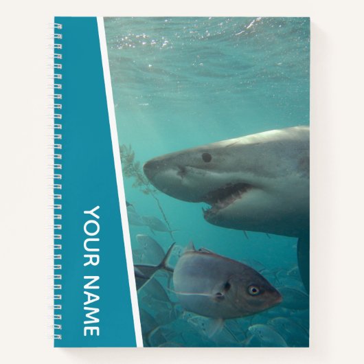 Carnet Grand requin blanc et poisson Australie (Devant)