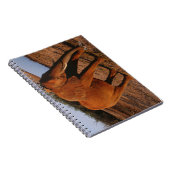 Carnet Grand Rouge (Côté Droit)