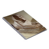 Carnet Grand sphinx, de Tanis (granit) (Côté Droit)