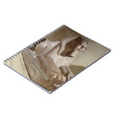 Carnet Grand sphinx, de Tanis (granit) (Côté gauche)