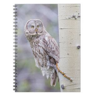 Carnet Grande branche de tremble gris
