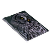 Carnet Grande Chouette grise (Côté Droit)