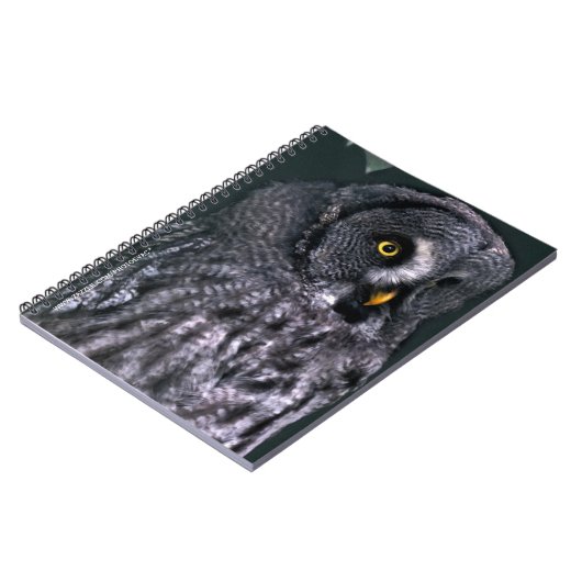 Carnet Grande Chouette grise (Côté gauche)