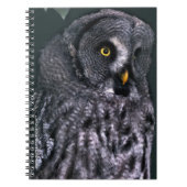 Carnet Grande Chouette grise (Devant)