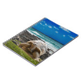 Carnet Grande tortue au bord de mer (Côté gauche)