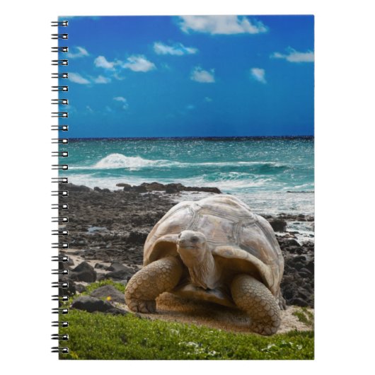 Carnet Grande tortue au bord de mer (Devant)