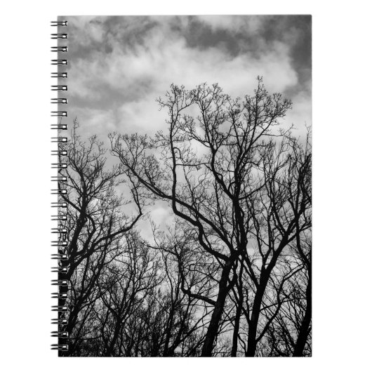 Carnet Grande vague d'arbres (Devant)