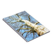 Carnet Grandes Branches d'arbre ensoleillé dans Ciel bleu (Côté Droit)