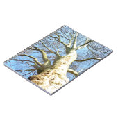 Carnet Grandes Branches d'arbre ensoleillé dans Ciel bleu (Côté gauche)