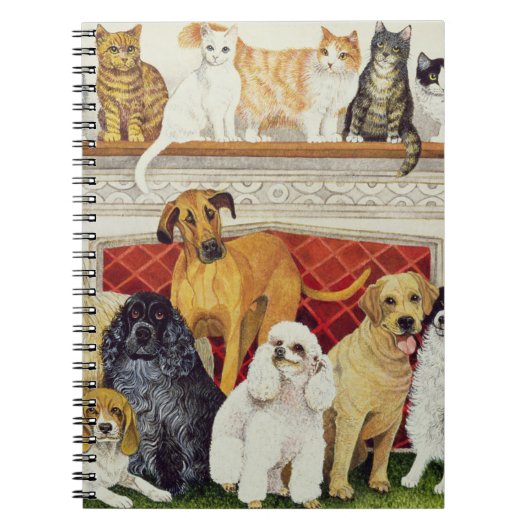 Carnet Grandes expectatives (Devant)