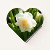 Carnet Grands jonquilles blancs par un jour de printemps  (Dos)