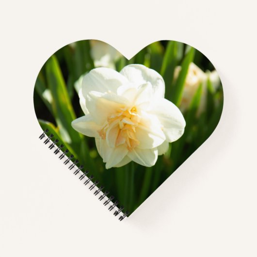 Carnet Grands jonquilles blancs par un jour de printemps  (Devant)