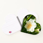 Carnet Grands jonquilles blancs par un jour de printemps  (Intérieur)