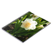 Carnet Grands narcisses blancs par un jour de printemps (Côté gauche)