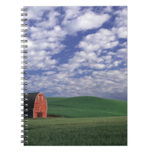 Carnet Grange rouge dans un champ de blé et d'orge à Whit