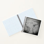 Carnet graphique (Intérieur)