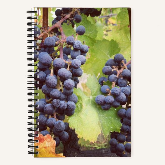 Carnet graphique (couverture rigide) (Recto)