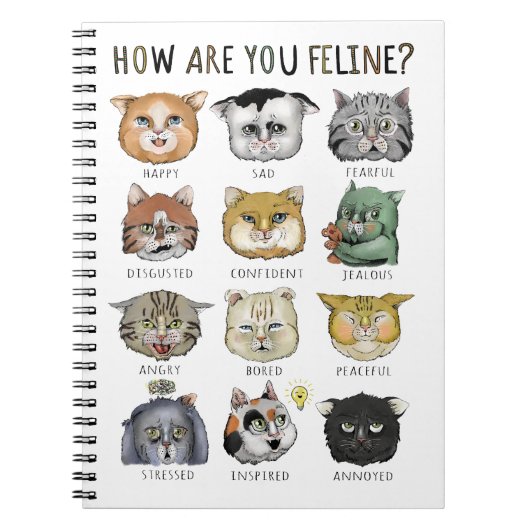 Carnet Graphique des Humeurs Drôles de Chat Comment allez (Devant)