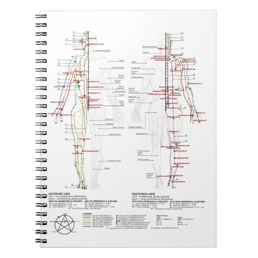Carnet Graphique des méridiens humains (Devant)