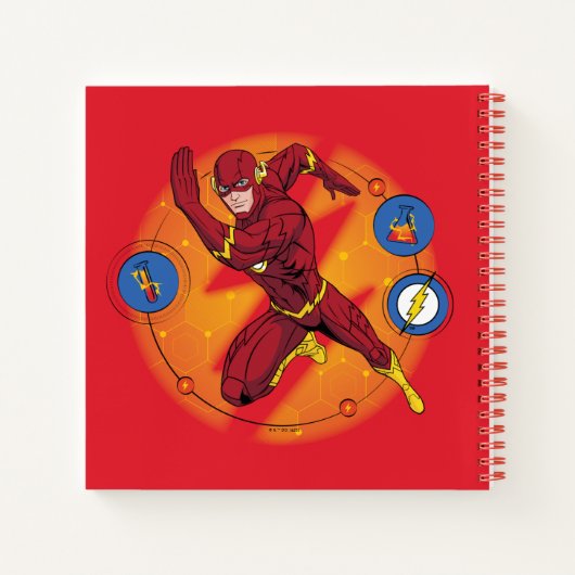 Carnet Graphique d'exécution du laboratoire Flash de dess (Dos)