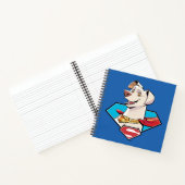 Carnet Graphique Krypto S-Shield (Intérieur)