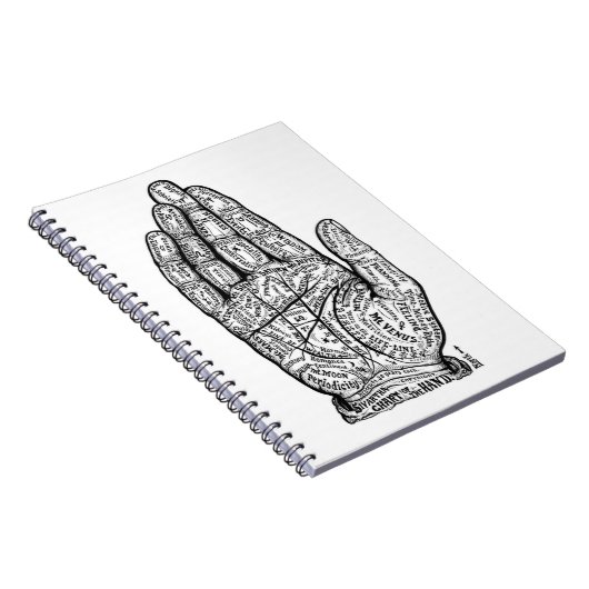 Carnet Graphique Palmiste (Côté Droit)