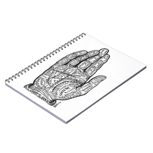 Carnet Graphique Palmiste (Côté gauche)