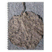 Carnet Graphique/ Texturé (Devant)