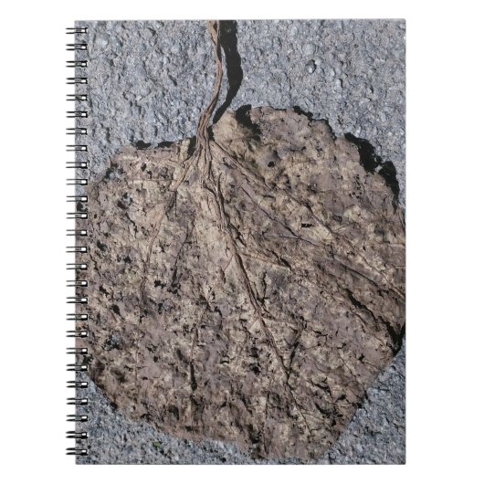 Carnet Graphique/ Texturé (Devant)