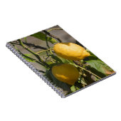 Carnet Graphiques Citron Espagnol (Côté Droit)