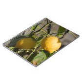 Carnet Graphiques Citron Espagnol (Côté gauche)