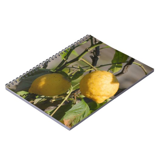 Carnet Graphiques Citron Espagnol (Côté gauche)