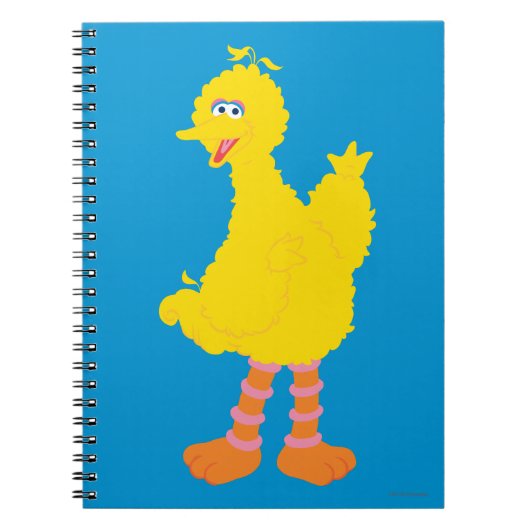 Carnet Graphisme de Gros Oiseau (Devant)