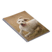 Carnet Grass de Runs (Côté Droit)