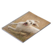 Carnet Grass de Runs (Côté gauche)