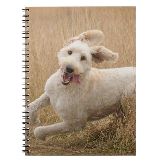 Carnet Grass de Runs (Devant)