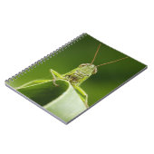 Carnet Grasshopper sur la feuille, Grasshopper Face Gros  (Côté gauche)
