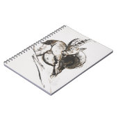Carnet Grattarsi (Côté gauche)