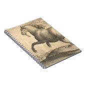 Carnet Gravure antique élégante de cheval espagnol (Côté Droit)